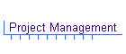 Project Management